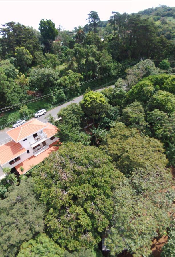 Casa Geranios Studio #3 Monteverde Zewnętrze zdjęcie
